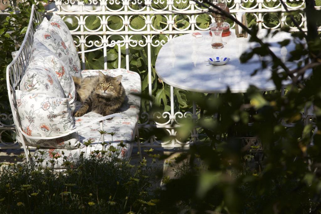 Nisanyan Hotel Selcuk Exterior photo