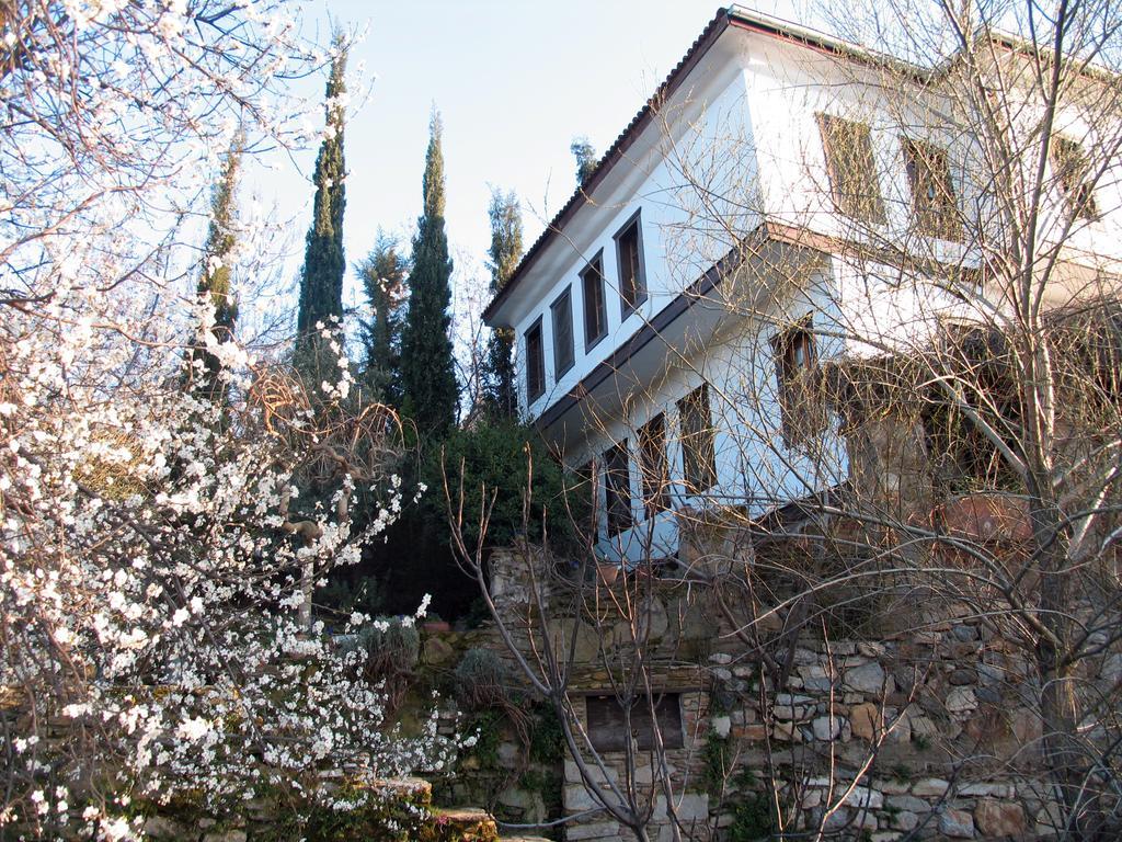 Nisanyan Hotel Selcuk Exterior photo
