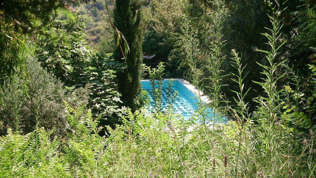 Nisanyan Hotel Selcuk Exterior photo